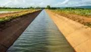 Punjab's Rs 1.61 Crore Canal Lining Project to Irrigate 400+ Acres in Sangrur