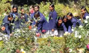 Ranchi's Oxygen Park to Host Two-Day Flower Show and Organic Exhibition