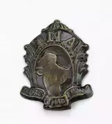 Rare Azad Hind Fauj Cap Badge Travels from Australia to Kolkata Collector