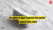 Reddit Debate: Why Japan Lacks Napkins & What It Reveals About Travel