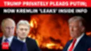 Russia Confirms Trump's Private Plea to Putin for Kyiv Pause Amid Ukraine War