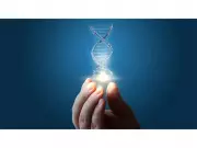 Russian Scientists Create DNA Sensor to Measure Antioxidant Protection in Drinks