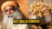 Sadhguru's Top Milk Alternative: Groundnut Milk Recipe & Health Benefits