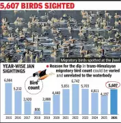 Santragachhi Jheel Bird Census Shows Mixed Results: Migratory Numbers Up, Rare Species Decline