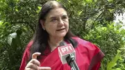 SC Questions Maneka Gandhi's Stray Dog Remarks, Cites Contempt Concerns