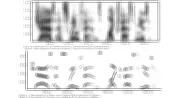 Sine-Wave Speech: The Science Behind Viral Audio Illusions
