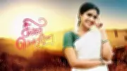 Singappenne Crosses 700 Episodes: Tamil TV Serial's Pan-South Success Story