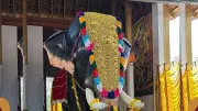 Sonakshi Sinha Donates Mechanical Elephant to Kerala Temple via PETA