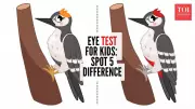 Spot the Difference: Woodpecker Puzzle Boosts Kids' Focus and Thinking Skills