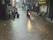Strong Winds and Heavy Rain Disrupt Life in Patiala, Power Supply Severely Affected