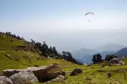 Tandem Paragliding Pilot Injured in Kullu Tree Mishap, Tourist Unhurt