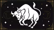 Taurus Horoscope Tomorrow: Career Surprise, Love Simplicity & Money Care