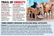 Telangana Panchayat Winners Fulfill Election Vows with Stray Dog Culling