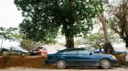 The Hidden Dangers of Parking Under Trees: 7 Risks to Your Vehicle
