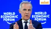 Trump Team Furious as Canada's Carney Urges Small Nations to Resist US Coercion