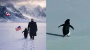 Trump's AI Penguin Image Sparks Online Frenzy Amid Greenland Focus