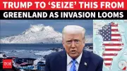Trump's Greenland Ambition Alarms NATO: US Eyes Arctic Island, Military Force Not Ruled Out