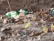 TTD Orders Probe After Empty Liquor Bottles Found Near Tirumala ORR