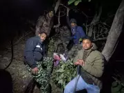 Two Big Cat Attacks in Almora: Woman Killed, Protests Erupt