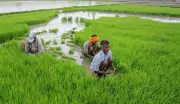 Union Budget 2026: Agri, Industry Seek Tax Relief, Biofuel & Infra Push