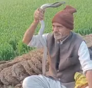 UP Man's Deadly Cobra Stunt: Wraps Snake Around Neck, Bitten Thrice, Dies