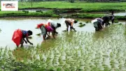 UPSC Mains Practice: Reforming Fertiliser Subsidies & Rice Productivity Variations