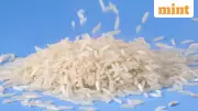 US Tariff Threat Clouds India's Basmati Rice Trade with Iran, Ministry Steps In