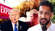 US Threatens 25% Tariff on India-Iran Trade, Indian Rice Exporters Warn of Losses
