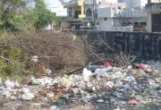 Uttarakhand HC Orders Immediate Road Cleanup in Nainital, Demands Garbage Disposal in 7 Days
