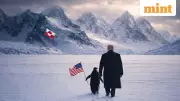 White House AI Image of Trump with Greenland Penguin Draws Mockery