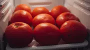 Why Your Fridge is Quietly Killing Tomato Flavour: Science Explains