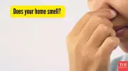 Why Your Indian Home Smells Bad? Amritsar Homemaker's Story Reveals Key Cause