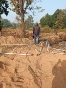 Wild Elephant Rampage in Hazaribag Sparks Panic, Destroys Crops