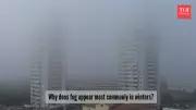 Winter Fog in India: The Science Behind the Mysterious Haze