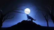 Wolf Moon 2026: Date, Spiritual Meaning, and Impact on Zodiac Signs
