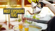 World's Most Expensive Teas: From Panda Dung to Diamond Bags