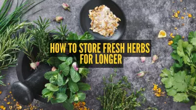8 Expert Methods to Store Fresh Herbs Longer: Ultimate Guide & Smart Tips