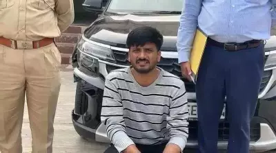 Amreli Forest Officials Arrest Engineer in Lioness Death Case on Highway