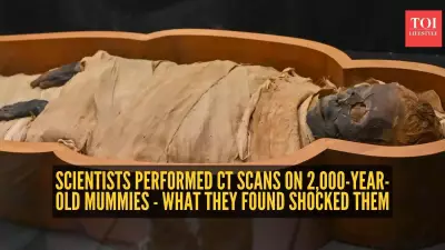 Ancient Egyptian Mummies Reveal Early Surgery and Health Struggles Through CT Scans