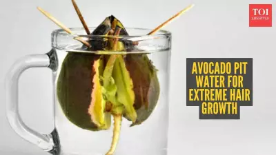 Avocado Seed Water: The Simple Kitchen Remedy for Healthier Hair Growth