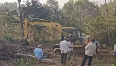 Belagavi Tree Felling Scandal: No Action Taken After Week of Public Outrage
