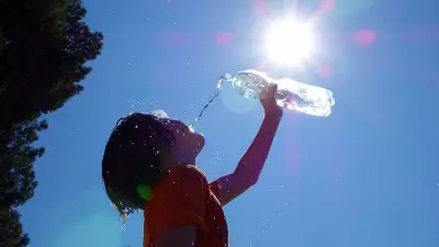 Bengaluru Braces for Early Summer as IMD Predicts Heat from March 1