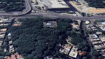 Bengaluru Citizens Launch Online Petition to Halt Tree Felling for Reshme Bhavan Project