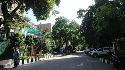Delhi PWD to Hire Specialized Agencies for Roadside Green Spaces by March