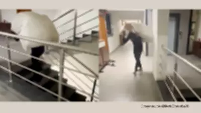 Delivery Agent Forced to Climb 6 Floors with Heavy Parcel After Elevator Denial Sparks Debate