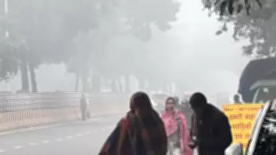 Dense Fog Disrupts North India: Flights Grounded, IMD Warns of Prolonged Conditions
