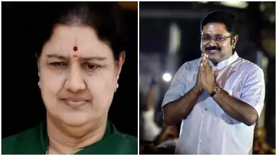 Dhinakaran Mocks Sasikala's New Party Launch as 'Instant Sambar, Idli'