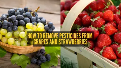 Essential Guide: Removing Pesticides from Grapes & Strawberries, Storage Tips & Recipes