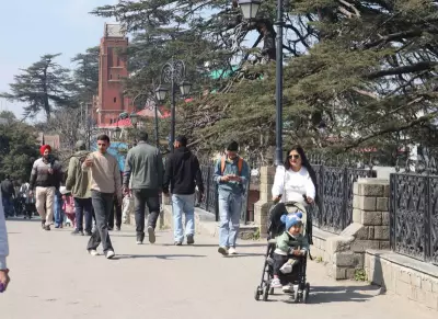 Fresh Snow and Rainfall Expected in Himachal's Higher Reaches on February 23