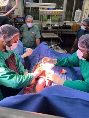 GADVASU Ludhiana Sees Surging Equine Cases, Performs 150+ Emergency Surgeries